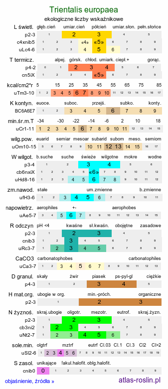 ekologiczne liczby wskaźnikowe Trientalis europaea (siódmaczek leśny)