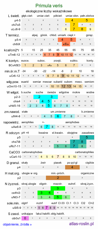 ekologiczne liczby wskaźnikowe Primula veris (pierwiosnek lekarski)