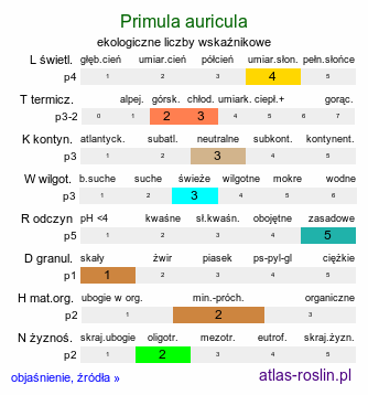 ekologiczne liczby wskaźnikowe Primula auricula (pierwiosnek łyszczak)