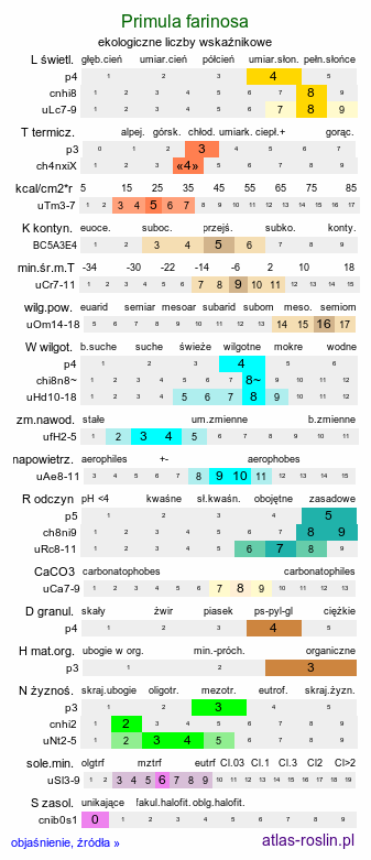 ekologiczne liczby wskaźnikowe Primula farinosa (pierwiosnek omączony)