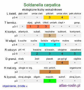 ekologiczne liczby wskaźnikowe Soldanella carpatica (urdzik karpacki)