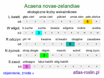 ekologiczne liczby wskaźnikowe Acaena novae-zelandiae (acena nowozelandzka)