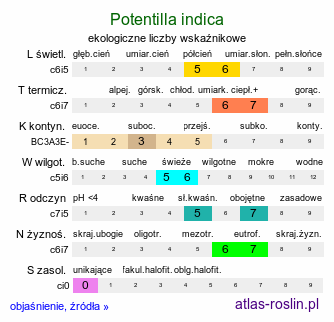 ekologiczne liczby wskaźnikowe Potentilla indica (poziomkówka indyjska)