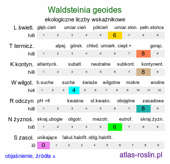 ekologiczne liczby wskaźnikowe Waldsteinia geoides (pragnia kuklikowata)