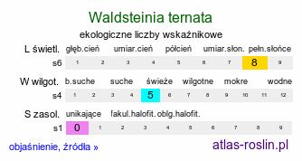 ekologiczne liczby wskaźnikowe Waldsteinia ternata (pragnia syberyjska)