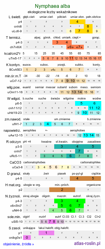 ekologiczne liczby wskaźnikowe Nymphaea alba (grzybienie białe)