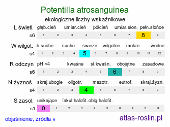 ekologiczne liczby wskaźnikowe Potentilla atrosanguinea (pięciornik krwisty)