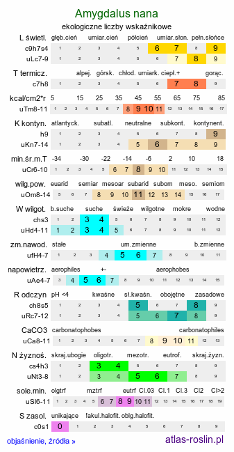 ekologiczne liczby wskaźnikowe Amygdalus nana (migdałowiec karłowy)