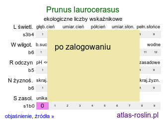 ekologiczne liczby wskaÅºnikowe Prunus laurocerasus (laurowiÅ›nia wschodnia)
