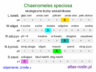 ekologiczne liczby wskaźnikowe Chaenomeles speciosa (pigwowiec okazały)