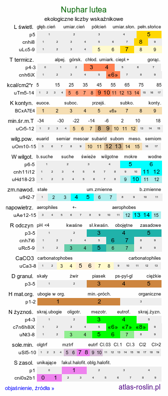ekologiczne liczby wskaźnikowe Nuphar lutea (grążel żółty)