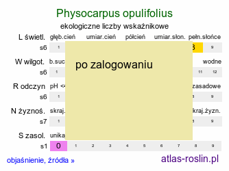 ekologiczne liczby wskaÅºnikowe Physocarpus opulifolius (pÄ™cherznica kalinolistna)
