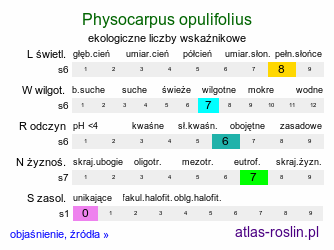 ekologiczne liczby wskaźnikowe Physocarpus opulifolius (pęcherznica kalinolistna)