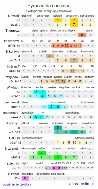 ekologiczne liczby wskaźnikowe Pyracantha coccinea (ognik szkarłatny)