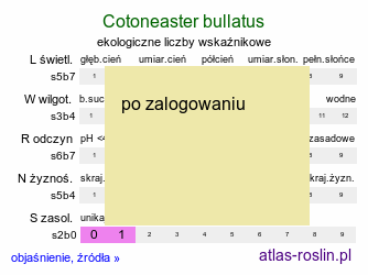 ekologiczne liczby wskaźnikowe Cotoneaster bullatus (irga pomarszczona)