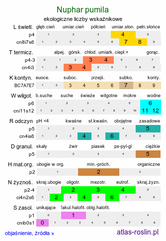 ekologiczne liczby wskaźnikowe Nuphar pumila (grążel drobny)