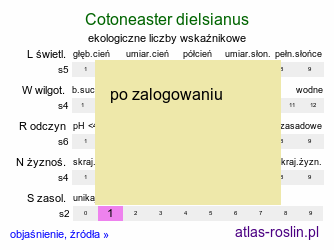ekologiczne liczby wskaźnikowe Cotoneaster dielsianus (irga Dielsa)