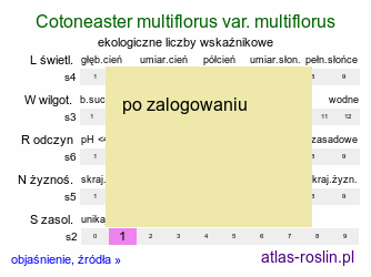ekologiczne liczby wskaźnikowe Cotoneaster multiflorus var. multiflorus (irga wielokwiatowa)