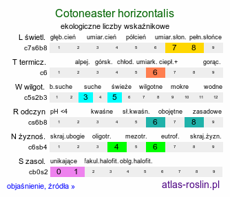 ekologiczne liczby wskaźnikowe Cotoneaster horizontalis (irga pozioma)