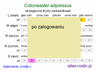 ekologiczne liczby wskaÅºnikowe Cotoneaster adpressus (irga poÅ‚oÅ¼ona)