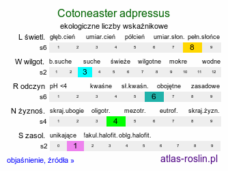 ekologiczne liczby wskaźnikowe Cotoneaster adpressus (irga położona)