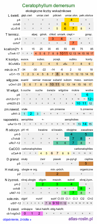 ekologiczne liczby wskaźnikowe Ceratophyllum demersum (rogatek sztywny)