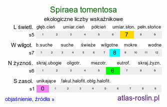 ekologiczne liczby wskaźnikowe Spiraea tomentosa (tawuła kutnerowata)