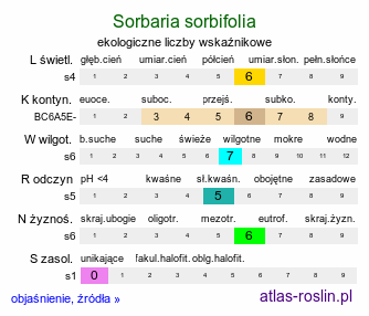 ekologiczne liczby wskaźnikowe Sorbaria sorbifolia (tawlina jarzębolistna)