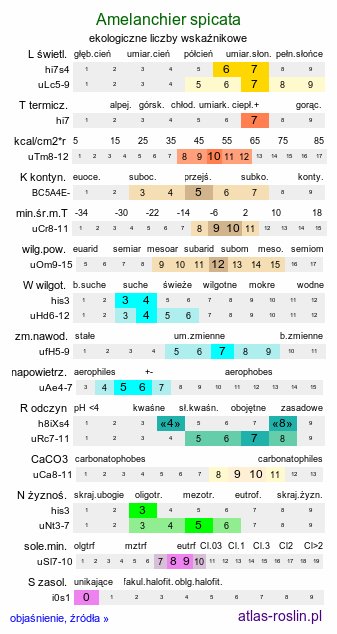 ekologiczne liczby wskaźnikowe Amelanchier spicata (świdośliwka kłosowa)