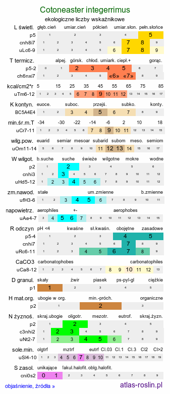 ekologiczne liczby wskaźnikowe Cotoneaster integerrimus (irga pospolita)