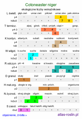 ekologiczne liczby wskaźnikowe Cotoneaster niger (irga czarna)