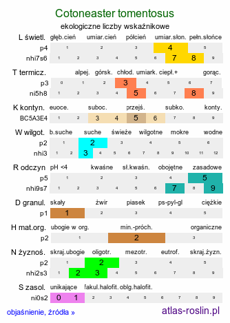 ekologiczne liczby wskaźnikowe Cotoneaster tomentosus (irga kutnerowata)