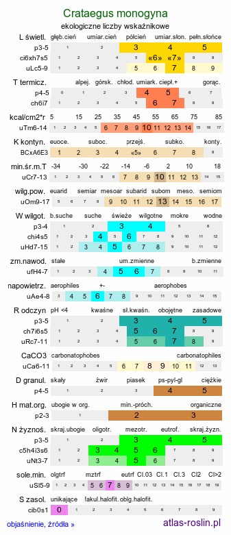 ekologiczne liczby wskaźnikowe Crataegus monogyna (głóg jednoszyjkowy)