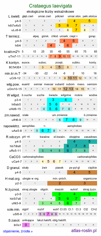 ekologiczne liczby wskaźnikowe Crataegus laevigata (głóg dwuszyjkowy)
