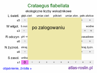 ekologiczne liczby wskaźnikowe Crataegus flabellata (głóg wachlarzowaty)