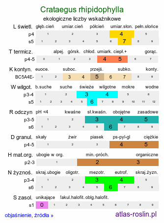 ekologiczne liczby wskaźnikowe Crataegus rhipidophylla (głóg odgiętodziałkowy)