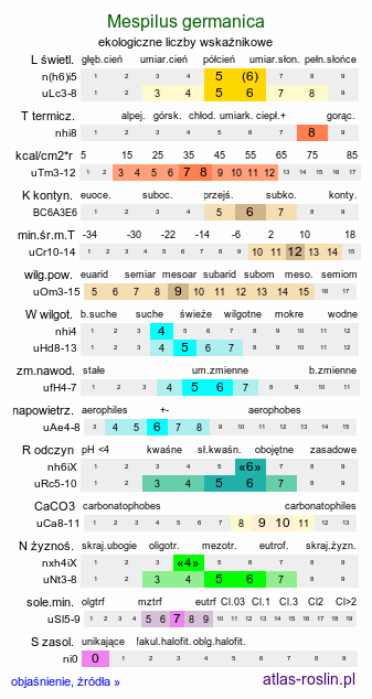 ekologiczne liczby wskaźnikowe Mespilus germanica (nieszpułka zwyczajna)