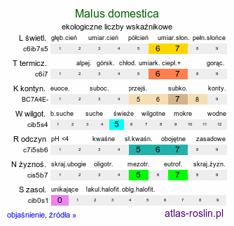 ekologiczne liczby wskaźnikowe Malus domestica (jabłoń domowa)