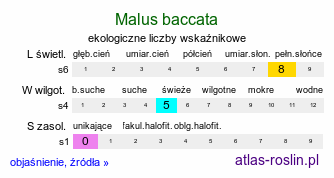 ekologiczne liczby wskaźnikowe Malus baccata (jabłoń jagodowa)