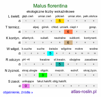 ekologiczne liczby wskaźnikowe Malus florentina