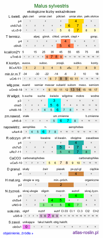 ekologiczne liczby wskaźnikowe Malus sylvestris (jabłoń dzika)