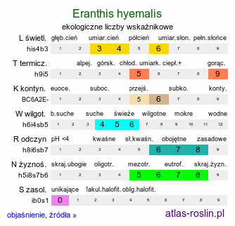 ekologiczne liczby wskaźnikowe Eranthis hyemalis (rannik zimowy)