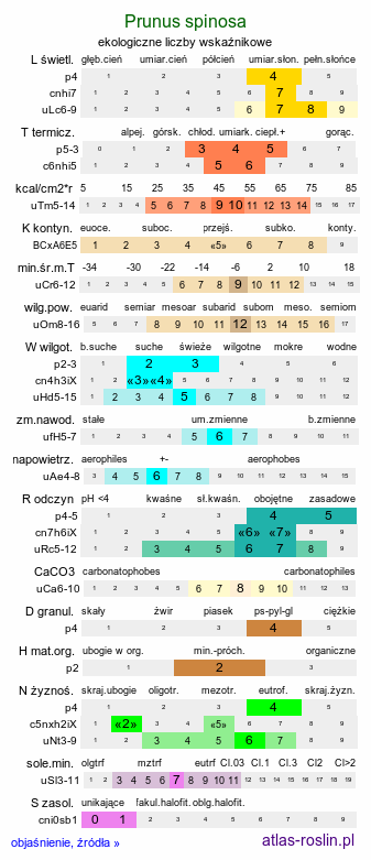 ekologiczne liczby wskaźnikowe Prunus spinosa (śliwa tarnina)