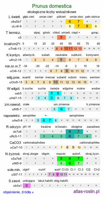 ekologiczne liczby wskaźnikowe Prunus domestica (śliwa domowa)