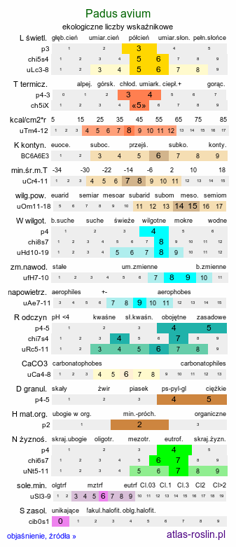 ekologiczne liczby wskaźnikowe Padus avium (czeremcha zwyczajna)