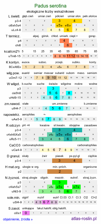 ekologiczne liczby wskaźnikowe Padus serotina (czeremcha amerykańska)