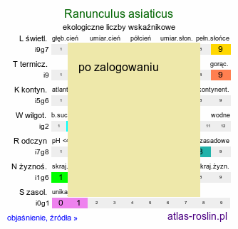ekologiczne liczby wskaźnikowe Ranunculus asiaticus (jaskier azjatycki)