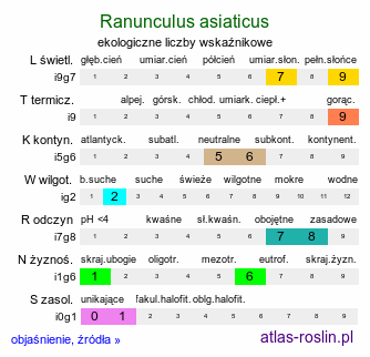 ekologiczne liczby wskaźnikowe Ranunculus asiaticus (jaskier azjatycki)