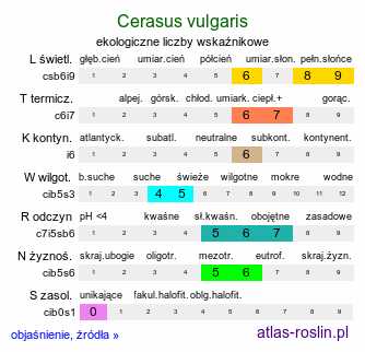 ekologiczne liczby wskaźnikowe Cerasus vulgaris (wiśnia pospolita)