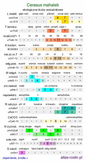 ekologiczne liczby wskaźnikowe Cerasus mahaleb (wiśnia wonna)